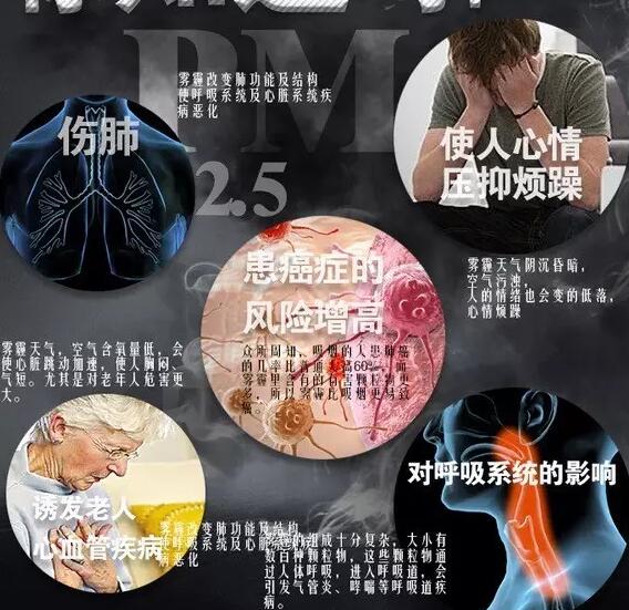 雾霾产生的疾病—花季传媒APP下载